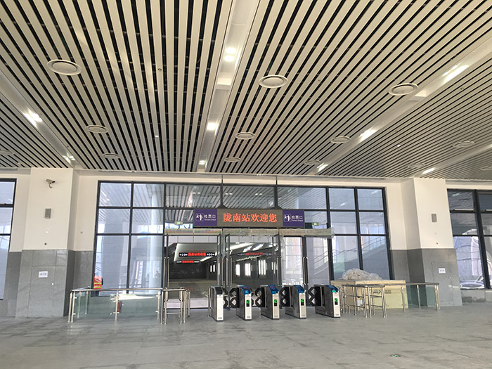 全國(guó)、省市政協(xié)委員體驗(yàn)蘭渝鐵路、視察階州廣場(chǎng)