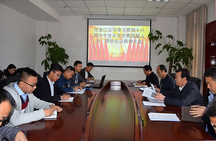 市龍江公司召開全體員工大會，專題傳達學(xué)習(xí)上級會議精神