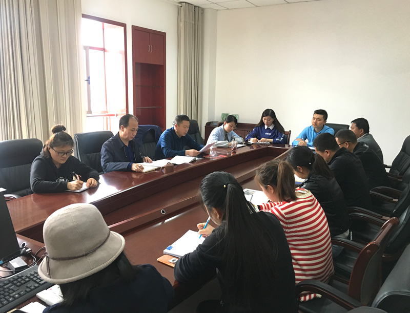 市龍江城鄉(xiāng)發(fā)展集團(tuán)專題學(xué)習(xí)近期中央、省、市紀(jì)律檢查委員會(huì)議精神