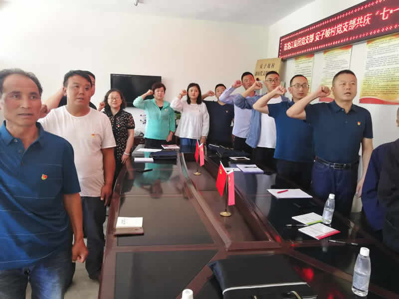 “感黨恩、憶黨史”，--市龍江城鄉(xiāng)發(fā)展集團公司開展慶祝建黨99周年主題黨日活動