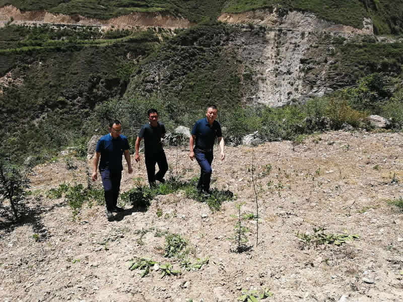 “感黨恩、憶黨史”，--市龍江城鄉(xiāng)發(fā)展集團公司開展慶祝建黨99周年主題黨日活動